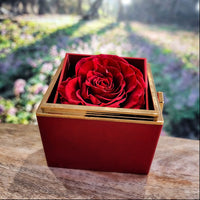 Load image into Gallery viewer, I'm Sorry Gifts For Her - Love Knot with Rotating Rose Gift Box